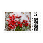Berries and Snow Postage
