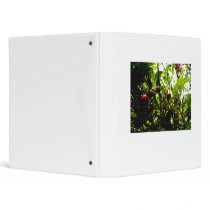Berries binders