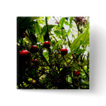 Berries Pinback Buttons