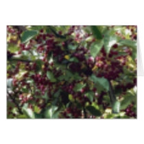 Berries cards