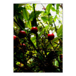 Berries Greeting Card