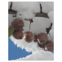 berries covered in snow flyer
