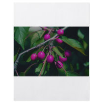 berries custom flyer