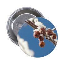 berries in snow buttons