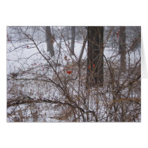 Berries in the Snow Cards