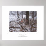 Berries in the Snow Posters