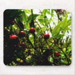 Berries Mouse Pad