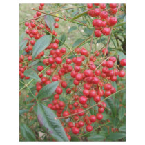 Berries on Nandina Flyers