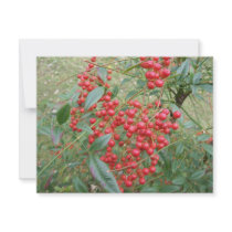 Berries on Nandina invitations by chemistrycourtney Berries on Nandina invitations
