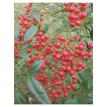 Berries on Nandina letterhead by chemistrycourtney Berries on Nandina letterhead
