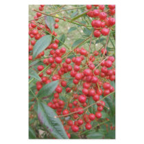 Berries on Nandina stationery by chemistrycourtney Berries on Nandina stationery