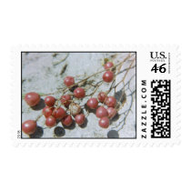 Berries postage by quetzal323 Berries postage