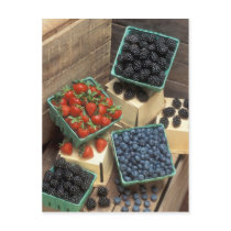 Berries postcards