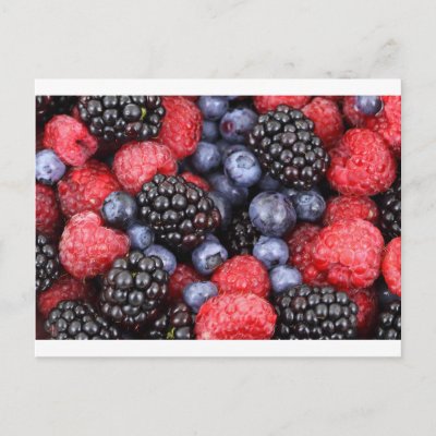 BERRIES POSTCARDS