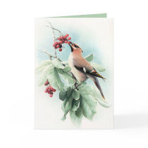 Berries To Eat Card