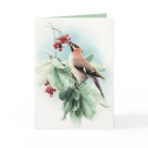  - Vintage Birds with Delightful wildlife scenes full of detail and charm on cards and invitations.: Sizes 