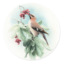 Berries To Eat stickers
