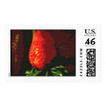 BERRY AS AN ART FORM... POSTAGE