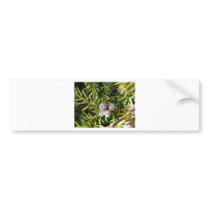 Berry Baubles Bumper Stickers