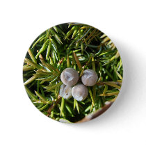Berry Baubles Pins