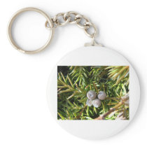 Berry Baubles Keychain