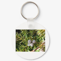 Berry Baubles keychains by litehrse Berry Baubles keychains