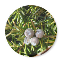 Berry Baubles Fridge Magnets
