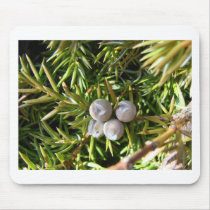Berry Baubles Mouse Mats