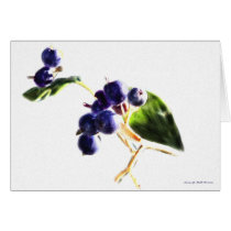 Berry Blue cards