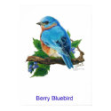 Berry Bluebird posters by pawtraitart Berry Bluebird posters