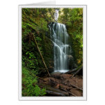 Berry Creek Falls, Big Basin Greeting Card