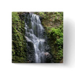 Berry Creek Falls Pinback Button