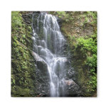 Berry Creek Falls Magnets