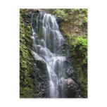 Berry Creek Falls Post Cards