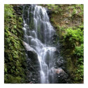Berry Creek Falls posters