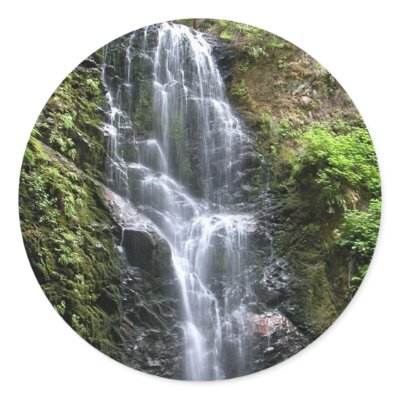 Berry Creek Falls Stickers by fstasu50