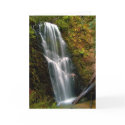 Berry Creek Waterfall Greeting Card