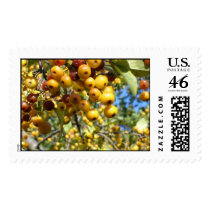 berry delight postage by ELF1020 berry delight postage