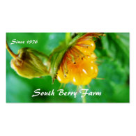 berry farm business card business card templates