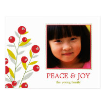 Berry Merry Christmas Holiday Photo Card  Postcard
