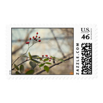Berry Postage postage