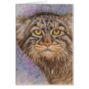 Berry's Pallas Cat cards by BarbBarcikKeith Berry's Pallas Cat cards