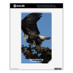 BERTF Eagle calvo listo para huir Calcomanía Para NOOK Color