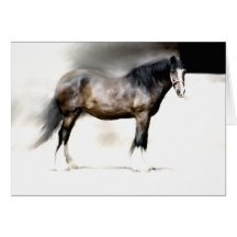 BERTHA Biggest SHIRE HORSE Card