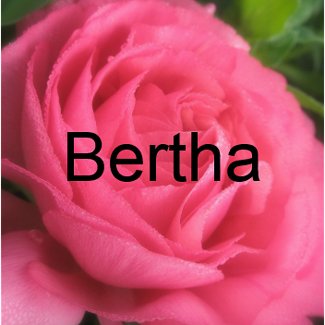 Bertha sticker