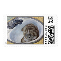 Bertie's Boudoir cat  in sink postage stamps stamps