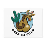 Besa Mi Culo Postcard