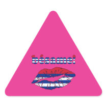 Bésame! - Kiss Me in Cuban Valentine's Day Stickers