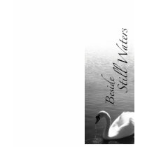 Beside Still Waters t-shirts