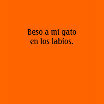 Beso a mi gato en los labios. shirt